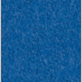 Focus_col_66023.jpg